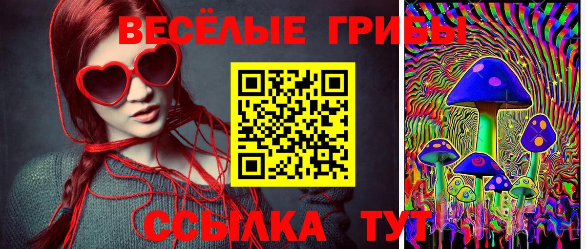 Ивантеевка  Псилоцибиновые грибы Magic Shrooms  Вход с VPN  Псилоцибиновые грибы ЛСД 